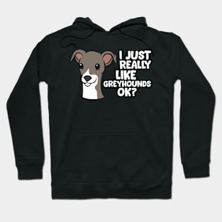 I Just Really Like Greyhound Dogs Hoodie